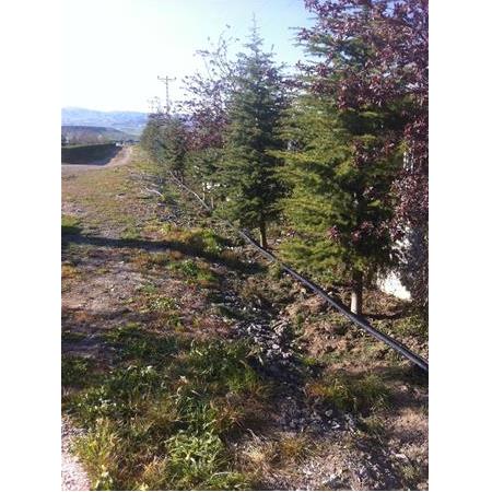 Otomatik Sulama Sistemi Polatlı