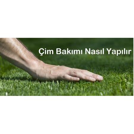 Çim Bitki Bakım Gübreleri