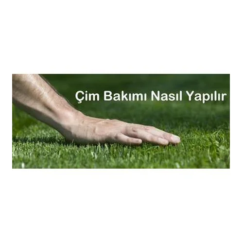 Çim Bitki Bakım Gübreleri