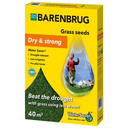 Barenbrug water saver Çim Tohumu 1 Kg Minimum Sulama