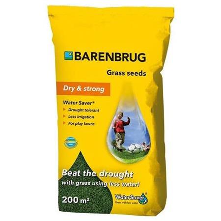 Barenbrug water saver Çim Tohumu 5 Kg Minimum Sulama