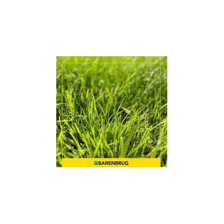 Barenbrug water saver Çim Tohumu 15 Kg Minimum Sulama