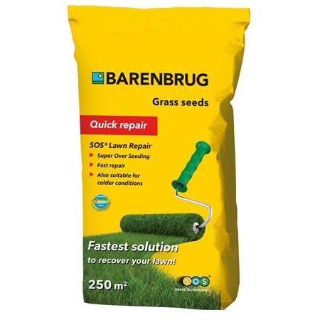 Barenbrug SUPER OVER SEEDİNG Çim Tohumu 5 Kg