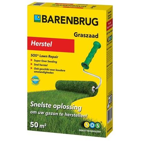 Barenbrug SUPER OVER SEEDİNG Çim Tohumu 1 Kg