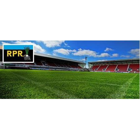 Barenbrug RPR Çim Tohumu 1 KG FUTBOL SAHASI GOLF SAHASI