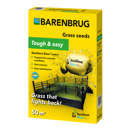 Barenbrug  Çim Tohumu 1 KG RESİLİENT BLUE