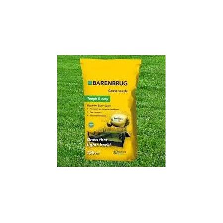 Barenbrug  Çim Tohumu 5 KG RESİLİENT BLUE