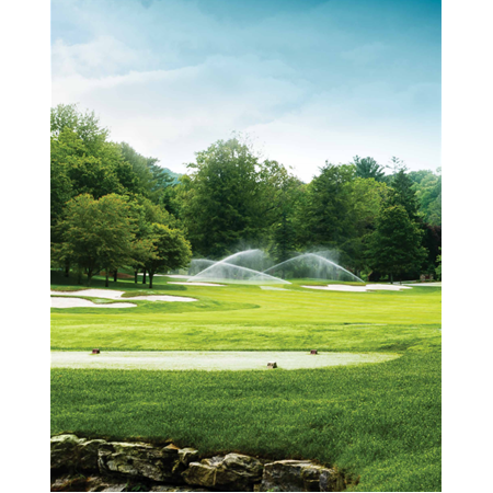 Hunter TTS G995 Serisi Rotor Golf Sprinkler Açı Ayarlı