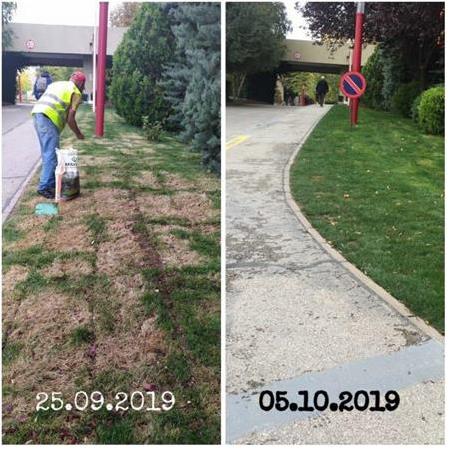 Maxima Azotlu Organomineral Gübre 5 Kg