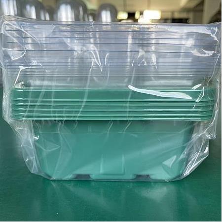 Mini Sera Tohum Çimlendirme (Set) 5 Adet